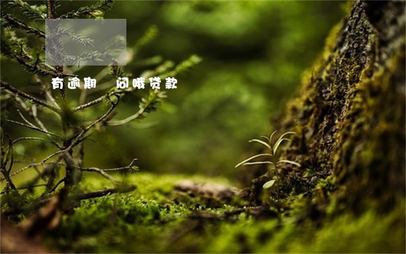 有逾期 问哦贷款 有逾期 问哦贷款